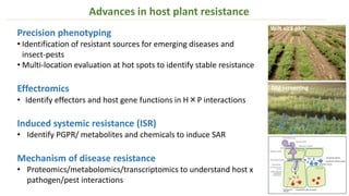 Advances in host plant resistance
Precision phenotyping
• Identification of resistant sources for emerging diseases and
insect-pests
• Multi-location evaluation at hot spots to identify stable resistance
Effectromics
• Identify effectors and host gene functions in H×P interactions
Induced systemic resistance (ISR)
• Identify PGPR/ metabolites and chemicals to induce SAR
Mechanism of disease resistance
• Proteomics/metabolomics/transcriptomics to understand host x
pathogen/pest interactions
Wilt sick plot
DM screening
 