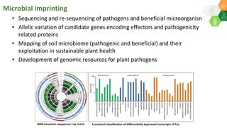 Wilt sick plot
Growth chamber
• Sequencing and re-sequencing of pathogens and beneficial microorganisms
• Allelic variation of candidate genes encoding effectors and pathogenicity
related proteins
• Mapping of soil microbiome (pathogenic and beneficial) and their
exploitation in sustainable plant health
• Development of genomic resources for plant pathogens
WGS-Fusarium oxysporum f sp ciceris
Microbial imprinting
Functional classification of differentially expressed transcripts of Foc.
 
