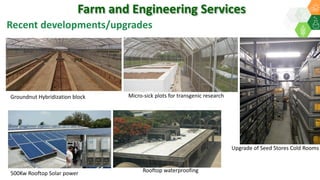 Recent developments/upgrades
Micro-sick plots for transgenic researchGroundnut Hybridization block
Farm and Engineering Services
Upgrade of Seed Stores Cold Rooms
500Kw Rooftop Solar power Rooftop waterproofing
 