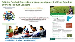 Refining Product Concepts and ensuring alignment of Crop Breeding
efforts to Product Concepts
Consultations with multi-disciplinary teams of
stakeholders to refine Product Concepts
 