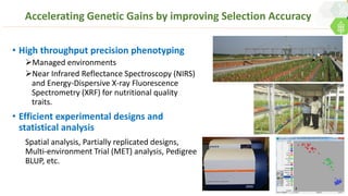 • High throughput precision phenotyping
Managed environments
Near Infrared Reflectance Spectroscopy (NIRS)
and Energy-Dispersive X-ray Fluorescence
Spectrometry (XRF) for nutritional quality
traits.
• Efficient experimental designs and
statistical analysis
Spatial analysis, Partially replicated designs,
Multi-environment Trial (MET) analysis, Pedigree
BLUP, etc.
Accelerating Genetic Gains by improving Selection Accuracy
 