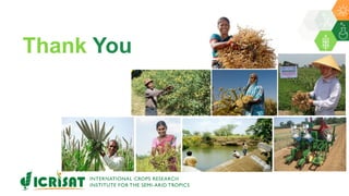 ICRISAT Global Planning Meeting 2019: Research Program – Asia by Dr Pooran Gaur and Team