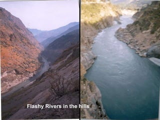 Flashy Rivers in the hills
 