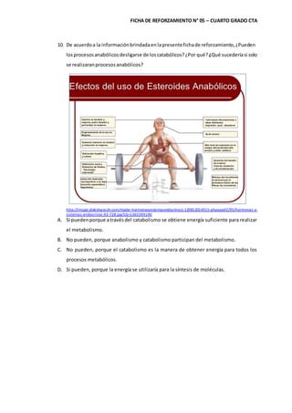 FICHA DE REFORZAMIENTO N° 05 – CUARTO GRADO CTA
10. De acuerdoa la informaciónbrindadaenlapresentefichade reforzamiento,¿Pueden
losprocesosanabólicosdesligarse de loscatabólicos?¿Por qué?¿Qué sucederíasi solo
se realizaranprocesosanabólicos?
http://image.slidesharecdn.com/mader-hormonasysistemasendocrinos1-120812014015-phpapp02/95/hormonas-y-
sistemas-endocrinos-43-728.jpg?cb=1365349190
A. Si puedenporque atravésdel catabolismo se obtiene energía suficiente para realizar
el metabolismo.
B. No pueden, porque anabolismo y catabolismo participan del metabolismo.
C. No pueden, porque el catabolismo es la manera de obtener energía para todos los
procesos metabólicos.
D. Si pueden, porque la energía se utilizaría para la síntesis de moléculas.
 