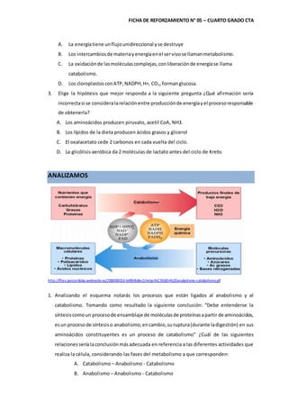 FICHA DE REFORZAMIENTO N° 05 – CUARTO GRADO CTA
A. La energíatiene unflujounidireccional yse destruye
B. Los intercambiosde materiayenergíaenel servivose llamanmetabolismo.
C. La oxidaciónde lasmoléculascomplejas,conliberaciónde energíase llama
catabolismo.
D. Los cloroplastosconATP,NADPH,H+, CO2,formanglucosa.
3. Elige la hipótesis que mejor responda a la siguiente pregunta ¿Qué afirmación sería
incorrectasi se consideralarelaciónentre producciónde energíayel procesoresponsable
de obtenerla?
A. Los aminoácidos producen piruvato, acetil CoA, NH3.
B. Los lípidos de la dieta producen ácidos grasos y glicerol
C. El oxalacetato cede 2 carbonos en cada vuelta del ciclo.
D. La glicólisis aeróbica da 2 moléculas de lactato antes del ciclo de Krebs
ANALIZAMOS
http://files.javicordoba.webnode.es/200000026-b6f84b8ec3/relaci%C3%B3n%20anabolismo-catabolismo.gif
1. Analizando el esquema notarás los procesos que están ligados al anabolismo y al
catabolismo. Tomando como resultado la siguiente conclusión: “Debe entenderse la
síntesiscomoun procesode ensamblaje de moléculasde proteínasapartir de aminoácidos,
esun procesode síntesiso anabolismo;encambio,suruptura(durante ladigestión) en sus
aminoácidos constituyentes es un proceso de catabolismo” ¿Cuál de las siguientes
relacionesseríalaconclusiónmásadecuada en referencia a las diferentes actividades que
realiza la célula, considerando las fases del metabolismo a que corresponden:
A. Catabolismo – Anabolismo - Catabolismo
B. Anabolismo – Anabolismo - Catabolismo
 