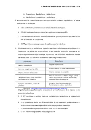 FICHA DE REFORZAMIENTO N° 05 – CUARTO GRADO CTA
C. Anabolismo – Catabolismo – Catabolismo
D. Catabolismo – Catabolismo - Anabolismo
2. Considerando las características que corresponden a los procesos metabólicos , se puede
indicar que es incorrecto:
A. Están controlados por enzimas que son catalizadores biológicos.
B. El NADH participa directamente en la reacción para hacerla posible.
C. Consisten en una secuencia de reacciones en las que los productos de una reacción
son los sustratos de la siguiente.
D. El ATP participa en estos procesos degradándose o formándose.
3. El metabolismo es el conjunto de todas las reacciones químicas que se producen en el
interior de las células de un organismo, es así como las moléculas nutritivas al ser
digeridasytransportadasporla sangre,llegana ella. Las reacciones metabólicas pueden
ser de dos tipos y se observan las diferencias en el siguiente cuadro:
Anabolismo Catabolismo
Fabrica biomoléculas Degrada biomoléculas
Consume energía (usa las ATP) Produce energía (la almacena como ATP)
Implica procesos dereducción
Implica procesos deoxidación
También se conoce como biosíntesis y
conlleva un gasto energético
En estas reacciones seobtiene energía que se
utiliza en actividades celulares:movimiento,
reproducción,crecimiento, etc.
Ejemplos: fotosíntesis,síntesis de
proteínas
Ejemplos: glucólisis,ciclo deKrebs,
fermentaciones, cadena respiratoria
Adaptado de: http://www.profesorenlinea.cl/Ciencias/Metabolismo_celular.html
Elige la hipótesis que formularías considerando la transformación de la materia en los
procesos metabólicos:
A. El ATP participa en ambos tipos de metabolismo (anabolismo y catabolismo)
degradándose.
B. En el catabolismo ocurre una desorganización de los materiales, en tanto que en el
anabolismo ocurre una reorganización más compleja de los materiales.
C. La fotosíntesis es un proceso catabólico en el cual se almacena ATP.
D. En una acción biológica como andar, se gasta ATP
 