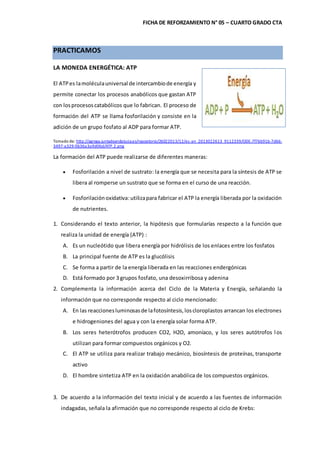 FICHA DE REFORZAMIENTO N° 05 – CUARTO GRADO CTA
PRACTICAMOS
LA MONEDA ENERGÉTICA: ATP
El ATPes lamoléculauniversal de intercambiode energía y
permite conectar los procesos anabólicos que gastan ATP
con losprocesoscatabólicos que lo fabrican. El proceso de
formación del ATP se llama fosforilación y consiste en la
adición de un grupo fosfato al ADP para formar ATP.
Tomado de: http://agrega.juntadeandalucia.es/repositorio/26022013/12/es-an_2013022613_9112339/ODE-7f76b91b-7d66-
3497-a329-0b36a3a9d06d/ATP.2.png
La formación del ATP puede realizarse de diferentes maneras:
 Fosforilación a nivel de sustrato: la energía que se necesita para la síntesis de ATP se
libera al romperse un sustrato que se forma en el curso de una reacción.
 Fosforilaciónoxidativa:utilizapara fabricar el ATP la energía liberada por la oxidación
de nutrientes.
1. Considerando el texto anterior, la hipótesis que formularías respecto a la función que
realiza la unidad de energía (ATP) :
A. Es un nucleótido que libera energía por hidrólisis de los enlaces entre los fosfatos
B. La principal fuente de ATP es la glucólisis
C. Se forma a partir de la energía liberada en las reacciones endergónicas
D. Está formado por 3 grupos fosfato, una desoxirribosa y adenina
2. Complementa la información acerca del Ciclo de la Materia y Energía, señalando la
información que no corresponde respecto al ciclo mencionado:
A. En las reaccionesluminosasde lafotosíntesis,loscloroplastos arrancan los electrones
e hidrogeniones del agua y con la energía solar forma ATP.
B. Los seres heterótrofos producen CO2, H2O, amoníaco, y los seres autótrofos los
utilizan para formar compuestos orgánicos y O2.
C. El ATP se utiliza para realizar trabajo mecánico, biosíntesis de proteínas, transporte
activo
D. El hombre sintetiza ATP en la oxidación anabólica de los compuestos orgánicos.
3. De acuerdo a la información del texto inicial y de acuerdo a las fuentes de información
indagadas, señala la afirmación que no corresponde respecto al ciclo de Krebs:
 