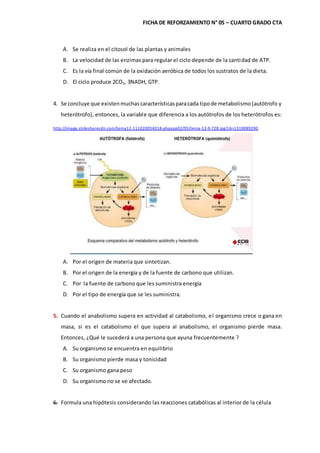 FICHA DE REFORZAMIENTO N° 05 – CUARTO GRADO CTA
A. Se realiza en el citosol de las plantas y animales
B. La velocidad de las enzimas para regular el ciclo depende de la cantidad de ATP.
C. Es la vía final común de la oxidación aeróbica de todos los sustratos de la dieta.
D. El ciclo produce 2CO2, 3NADH, GTP.
4. Se concluye que existenmuchascaracterísticasparacada tipode metabolismo(autótrofo y
heterótrofo), entonces, la variable que diferencia a los autótrofos de los heterótrofos es:
http://image.slidesharecdn.com/tema12-111020054018-phpapp02/95/tema-12-9-728.jpg?cb=1319089290
A. Por el origen de materia que sintetizan.
B. Por el origen de la energía y de la fuente de carbono que utilizan.
C. Por la fuente de carbono que les suministra energía
D. Por el tipo de energía que se les suministra.
5. Cuando el anabolismo supera en actividad al catabolismo, el organismo crece o gana en
masa, si es el catabolismo el que supera al anabolismo, el organismo pierde masa.
Entonces, ¿Qué le sucederá a una persona que ayuna frecuentemente ?
A. Su organismo se encuentra en equilibrio
B. Su organismo pierde masa y tonicidad
C. Su organismo gana peso
D. Su organismo no se ve afectado.
6. Formula una hipótesis considerando las reacciones catabólicas al interior de la célula
 