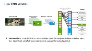 It is a research project on convolution neural network on risc V ...