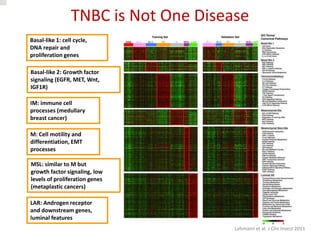 Update on Management of Triple Negative Breast Cancer | PDF