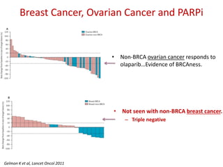 Update on Management of Triple Negative Breast Cancer | PDF