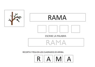 R palabras