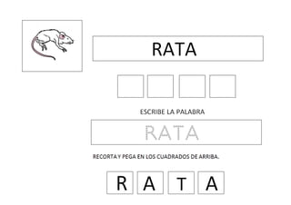 R palabras