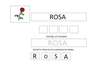 R palabras