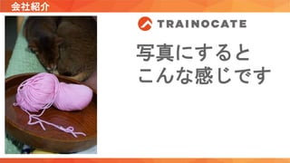 写真にすると
こんな感じです
会社紹介
 