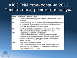 AJCC TNM стадирование 2011
Полость носа, решетчатая пазуха




2012
 