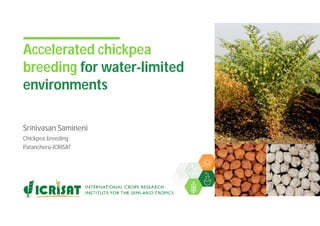 Accelerated chickpea
breeding for water-limited
environments
Srinivasan Samineni
Chickpea breeding
Patancheru-ICRISAT
 