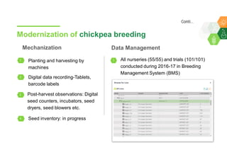 Accelerated chickpea breeding for water-limited environments