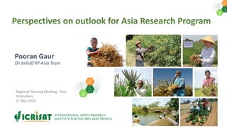 Pooran Gaur
On behalf RP-Asia Team
Regional Planning Meeting - Asia
Patancheru
11 Mar 2020
Perspectives on outlook for Asia Research Program
 