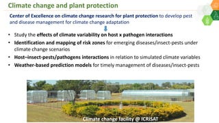Perspectives on outlook for Asia Research Program: Asia Regional Planning Meeting  2020 By Dr Pooran Gaur