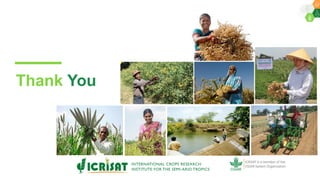 Perspectives on outlook for Asia Research Program: Asia Regional Planning Meeting  2020 By Dr Pooran Gaur