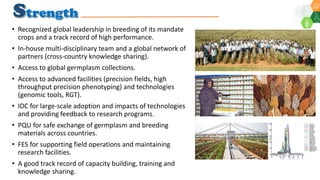 Perspectives on outlook for Asia Research Program: Asia Regional Planning Meeting  2020 By Dr Pooran Gaur