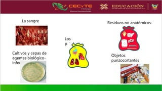 Cepa Rpbi Residuos Peligrosos Biologico-infecciosos (RPBI) | PPTX