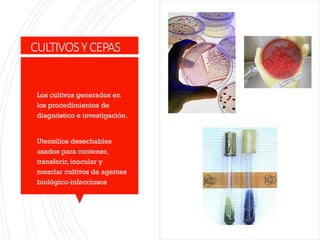 Cepa Rpbi Manejo Integral de Residuos Peligrosos Biológico-Infecciosos (RPBI ...