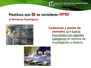 INSTITUTO MEXICANO DEL SEGURO SOCIAL
SEGURIDAD Y SOLIDARIDAD SOCIAL
Residuos queResiduos que SISI se consideranse consideran RPBI
c) Residuos Patológicos
Cadáveres y partes de
animales que fueron
inoculados con agentes
patógenos en centros de
investigación y bioterio.
 