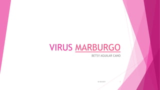 VIRUS MARBURGO
BETSY AGUILAR CANO
110/28/2019
 