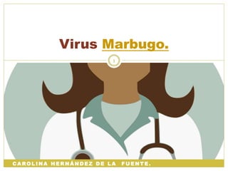 C A RO L I N A H E R N Á N D E Z D E L A F U E N T E .
Virus Marbugo.
1
 