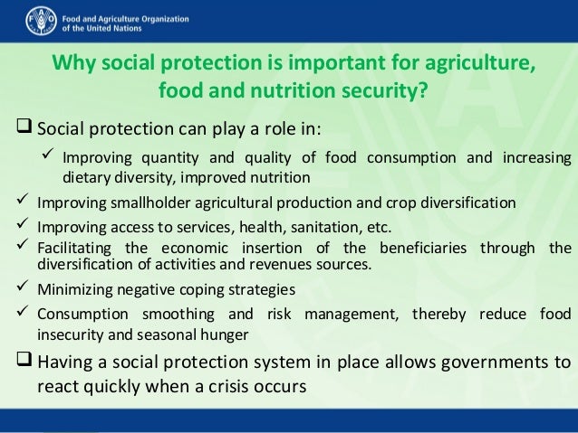 Why social protection is important for agriculture,
food and nutrition security?
 Social protection can play a role in:
...