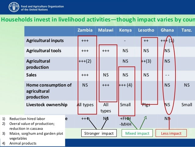 Households invest in livelihood activities—though impact varies by coun
Zambia Malawi Kenya Lesotho Ghana Tanz.
Agricultur...