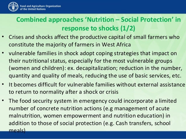 Combined approaches ‘Nutrition – Social Protection’ in
response to shocks (1/2)
• Crises and shocks affect the productive ...