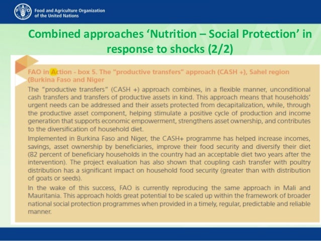 Combined approaches ‘Nutrition – Social Protection’ in
response to shocks (2/2)
 