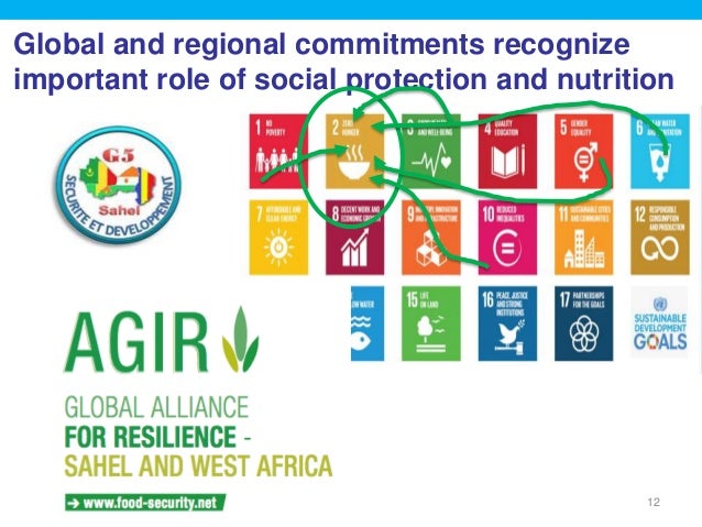 Global and regional commitments recognize
important role of social protection and nutrition
12
 