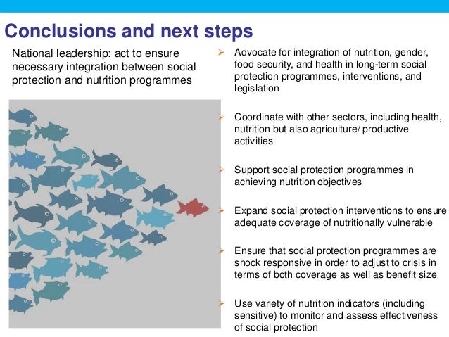  Advocate for integration of nutrition, gender,
food security, and health in long-term social
protection programmes, inte...