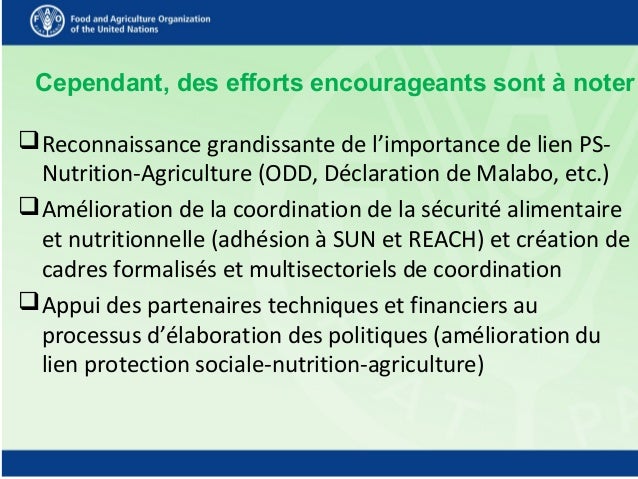 Cependant, des efforts encourageants sont à noter
Reconnaissance grandissante de l’importance de lien PS-
Nutrition-Agric...