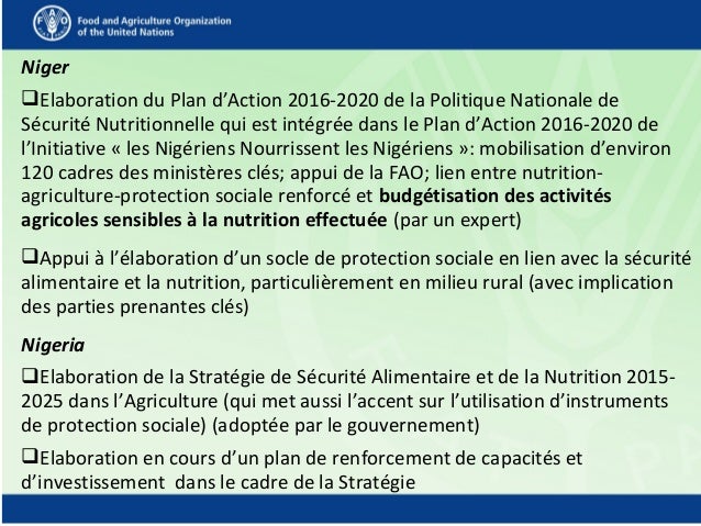 Niger
Elaboration du Plan d’Action 2016-2020 de la Politique Nationale de
Sécurité Nutritionnelle qui est intégrée dans l...