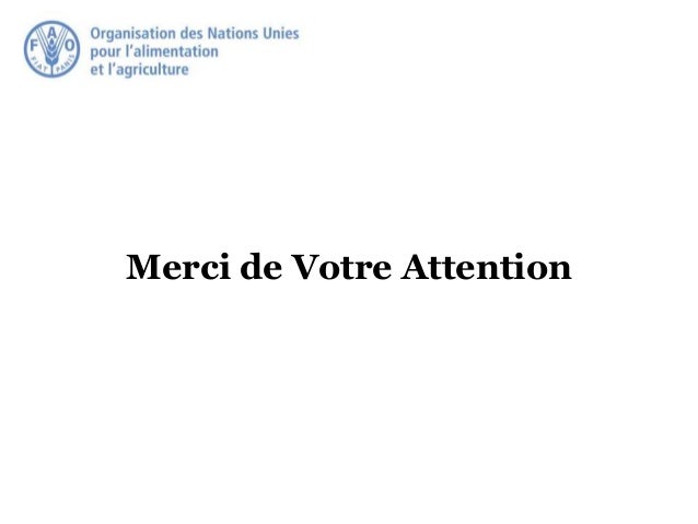Merci de Votre Attention
 