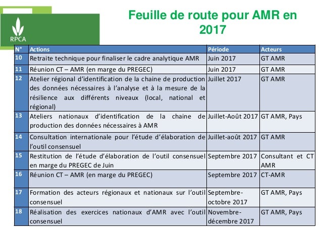 N° Actions Période Acteurs
10 Retraite technique pour finaliser le cadre analytique AMR Juin 2017 GT AMR
11 Réunion CT – A...