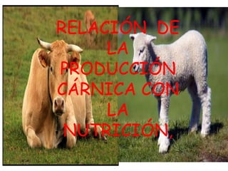 RELACIÓN DE
LA
PRODUCCIÓN
CÁRNICA CON
LA
NUTRICIÓN,
 