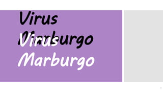 Virus
MarburgoVirus
Marburgo
1
 
