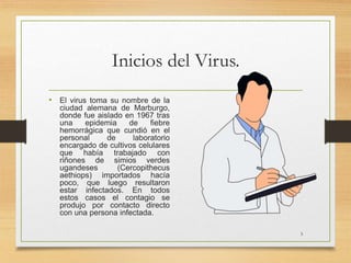 Inicios del Virus.
• El virus toma su nombre de la
ciudad alemana de Marburgo,
donde fue aislado en 1967 tras
una epidemia de fiebre
hemorrágica que cundió en el
personal de laboratorio
encargado de cultivos celulares
que había trabajado con
riñones de simios verdes
ugandeses (Cercopithecus
aethiops) importados hacía
poco, que luego resultaron
estar infectados. En todos
estos casos el contagio se
produjo por contacto directo
con una persona infectada.
3
 