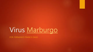 Virus Marburgo
POR: FERNANDO FRANCO ZAGO
 