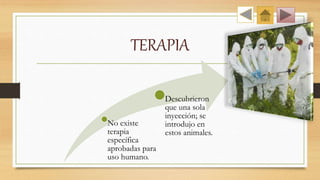 TERAPIA
No existe
terapia
específica
aprobadas para
uso humano.
Descubrieron
que una sola
inyección; se
introdujo en
estos animales.
 