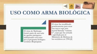 El virus de Marburgo
formó parte de una serie
de agentes patógenos
militarizados con éxito
por el programa biológico
soviético Biopreparat.
El virus fue modificado
genéticamente para crear
una nueva cepa más
mortal llamada "variante
U", cepa que fue armada
y aprobada por el
Ministerio de Defensa de
los soviéticos en 1990.[4]
 