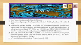 FUENTES
 http://es.m.wikipedia.org/wiki/Virus_de_Marburgo
 Un muerto en Uganda por el marburg, similar al ébola; El Periódico, Barcelona, 7 de octubre de
2014.
 Daddario-DiCaprio KM, Geisbert TW, Ströher U, et al.. «Postexposure protection against Marburg
haemorrhagic fever with recombinant vesicular stomatitis virus vectors in non-human primates: an
efficacy assessment». Lancet 367 (9520): pp. 1399–1404. doi:10.1016/S0140-6736(06)68546-2.
http://www.thelancet.com/journals/lancet/article/PIIS0140673606685462/abstract.
 Jones SM, Feldmann H, Stroher U et al. (2005). «Live attenuated recombinant vaccine protects
nonhuman primates against Ebola and Marburg viruses». Nature Med 11 (7): pp. 786–90.
doi:10.1038/nm1258. PMID 15937495.
 «Virus de Marburgo». Consultado el 27 de noviembre de 2012.
 