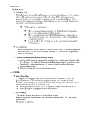 Anatomy Tour - 8
! Soft Palate
! Vibrating Line
Critical posterior border of complete dentures and some partial dentures. The junction
of movable and immovable portions of the soft palate. If the denture terminates
posterior to this, movements of the soft palate cause it to dislodge and drop. If the
denture terminates anterior to this, on the hard palate, no seal is created, the denture is
unretentive and often uncomfortable.
! Within a group of six students:
! Have an instructor demonstrate how to find and mark the vibrating
line on one student, using an indelible stick
! Have an instructor draw an indelible line at an incorrect position on
one of the two students and a correct position on the other, and guess
which one is correct.
! Locate and draw the vibrating line on the remaining students, check
with instructor.
! Fovea Palatini
Bilateral indentations near the midline of the soft palate. Close to the vibrating line in
many individuals, but not accurate enough for using as a landmark for the posterior
border of the denture
! Median Palatine Raphe (midline palatine suture)
a. A bony midline structure, that can be raised and may require relief when covered
by a denture. Covered with thin mucosa and can ulcerate easily if impinged upon.
b. Occasionally a torus palatinus may be present, creating similar, often more
pronounced problems.
! Identify who has the most prominent raphe/torus ________________________
MANDIBLE:
! Pear Shaped Pad
A soft pad containing glandular tissue, with an inverted pear shape, which is the
posterior terminus of the mandibular complete dentures and Class I & II partial
dentures. The pear shaped pad is usually created from scarring after extractions, and is
therefore more easily seen in edentulous casts.
! Identify the retromolar area or pad on a partner, and have an instructor check.
! Identify the pear shaped pad on the distributed cast
! Buccal Shelf
The primary denture bearing area of a mandibular denture.
Between extraction sites of molars and the external oblique ridge. Does not tend to
resorb much.
! Identify on a partner.
 
