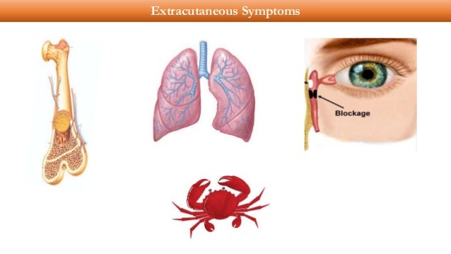 Kamagra kaufen erfahrungsberichte